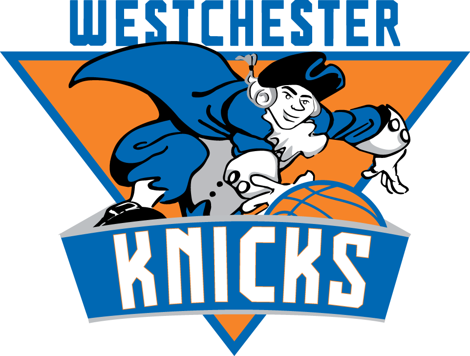 Westchester Knicks 2014-Pres Primary Logo iron on transfers for clothing